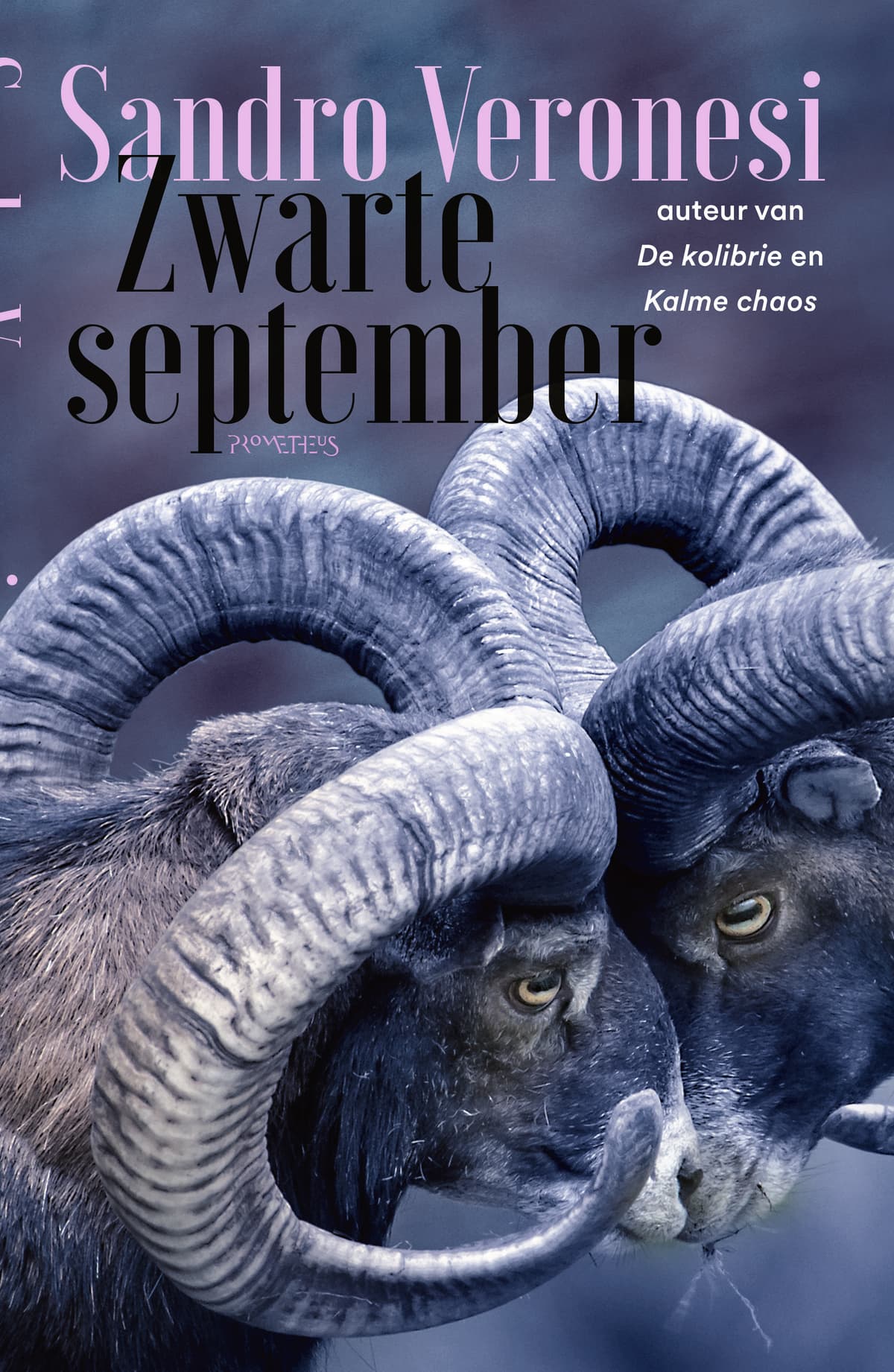 Zwarte September